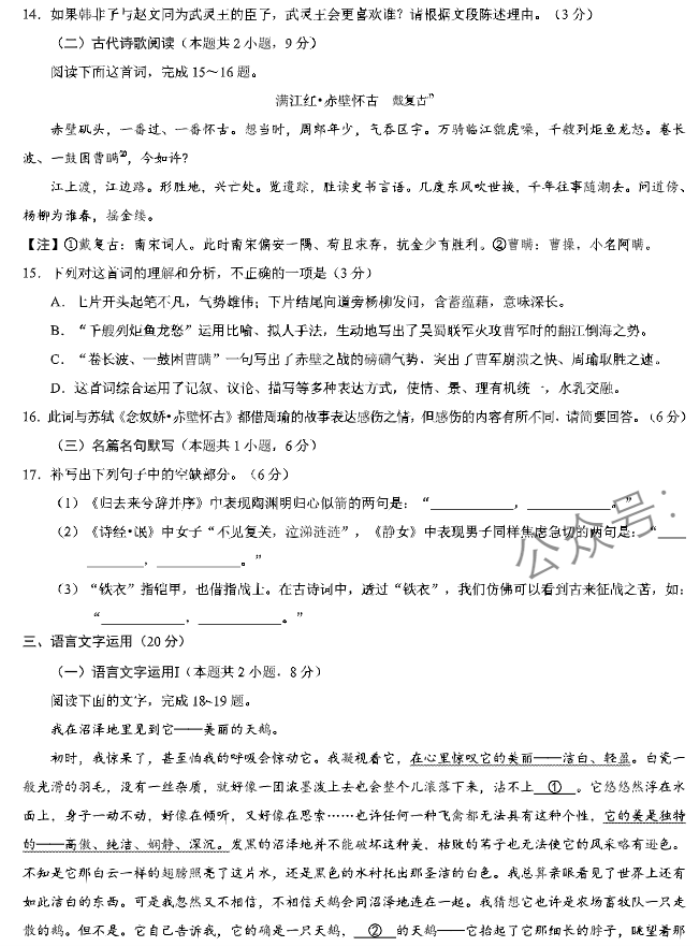 xkw河北2024高三11月联考考后强化卷语文试题及答案解析