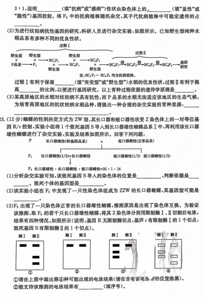 河北沧衡八校联盟2024高三11月期中考生物试题及答案解析