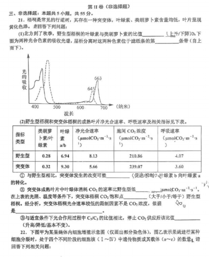 辽宁省辽南协作体2024高三期中考试生物试题及答案解析