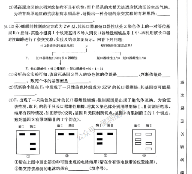 福建金太阳2024高三11月联考(120C)生物试题及答案解析