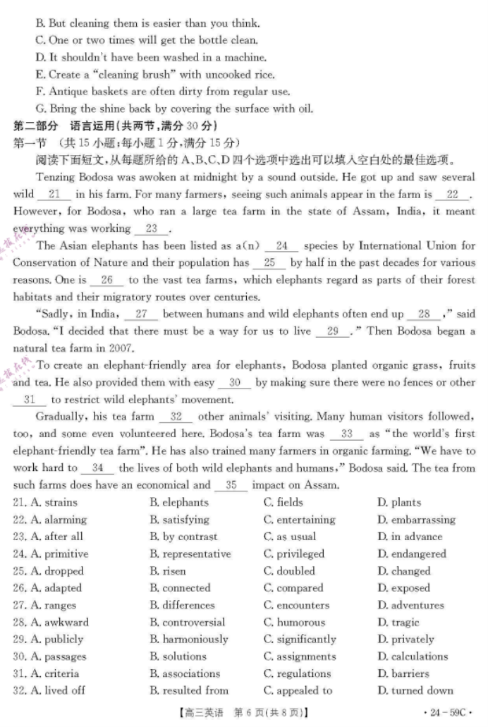 云南楚雄州金太阳2024高三期中监测英语试题及答案解析