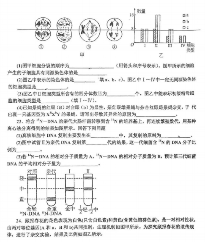 辽宁省辽南协作体2024高三期中考试生物试题及答案解析