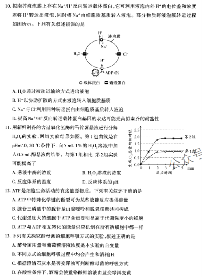 山西太原2024高三上学期期中学业诊断生物试题及答案解析