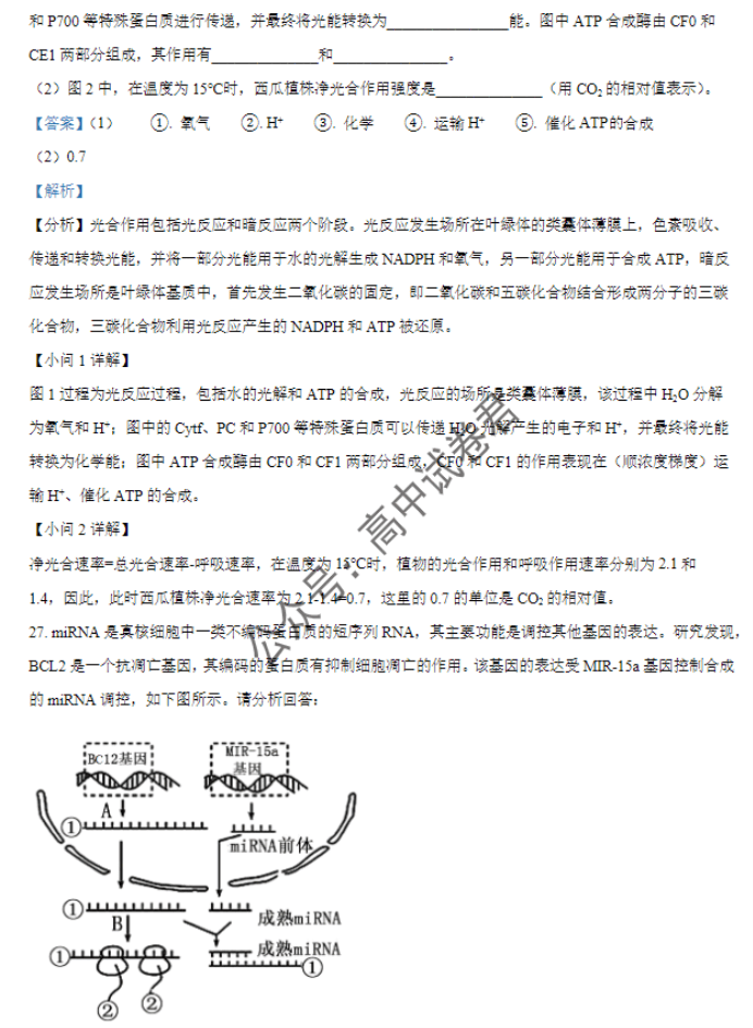 天津北辰区2024高三上学期第一次联考生物试题及答案解析