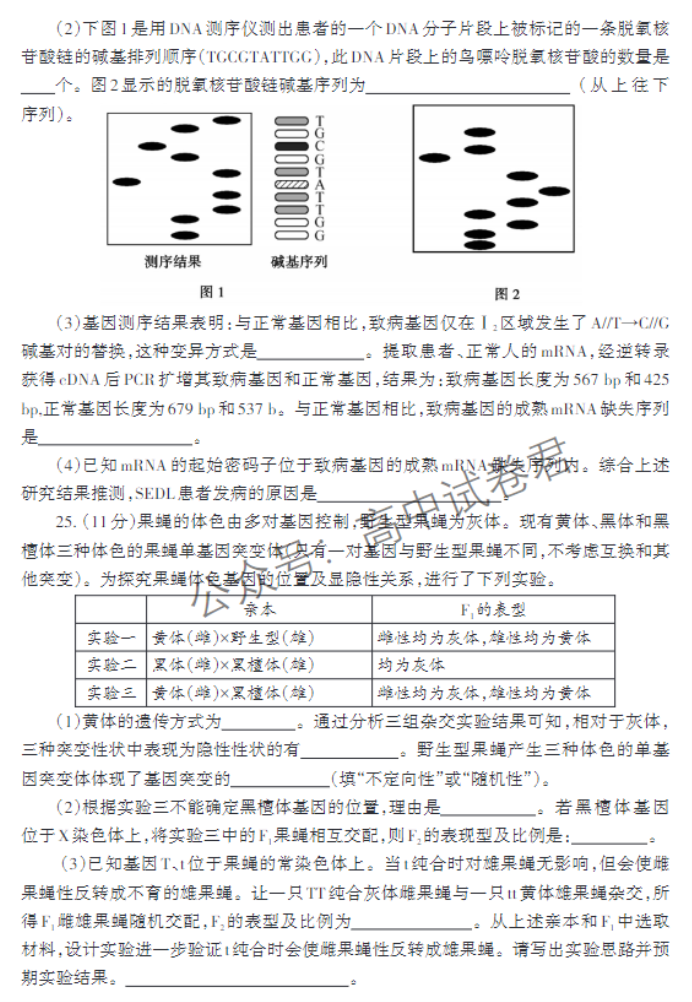 山东泰安市2024高三11月期中考试生物试题及答案解析