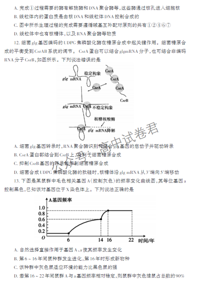 山东泰安市2024高三11月期中考试生物试题及答案解析