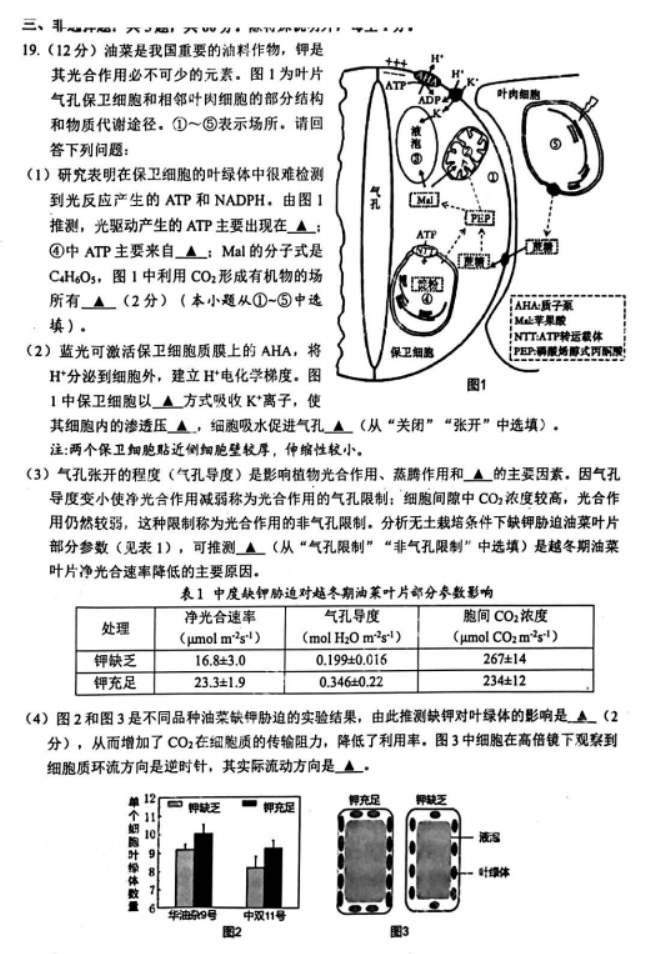 江苏连云港市2024高三上学期期中考试生物试题及答案解析