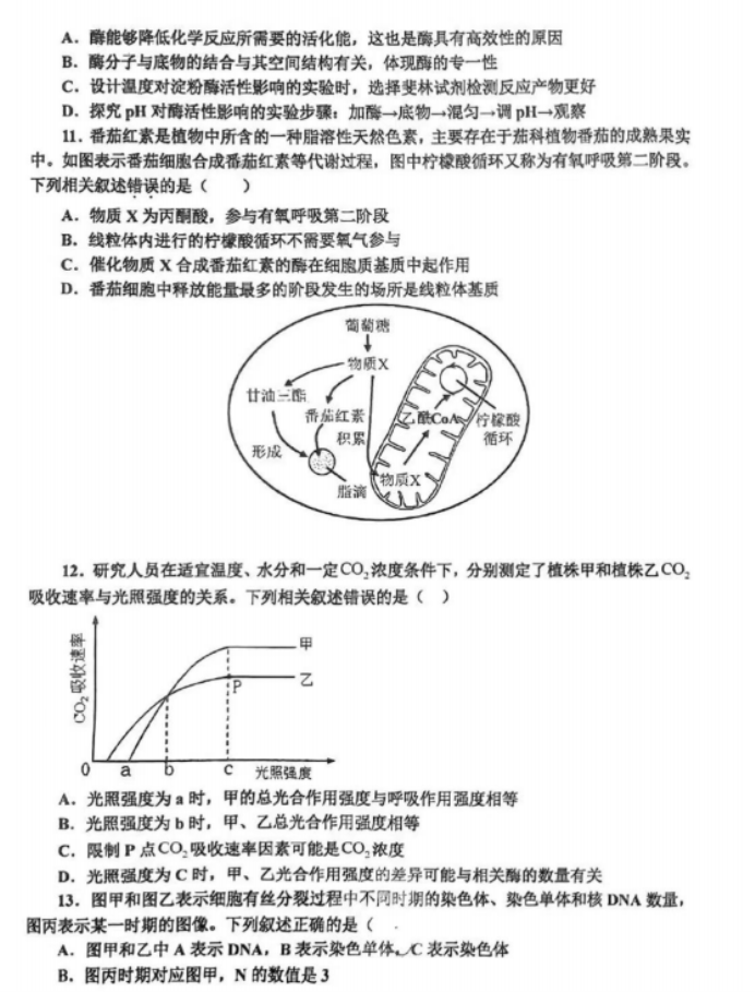 辽宁省辽南协作体2024高三期中考试生物试题及答案解析