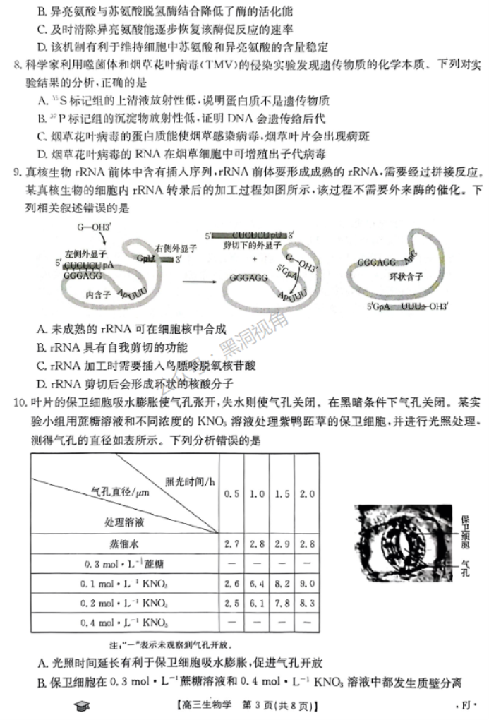 福建金太阳2024高三11月联考(120C)生物试题及答案解析