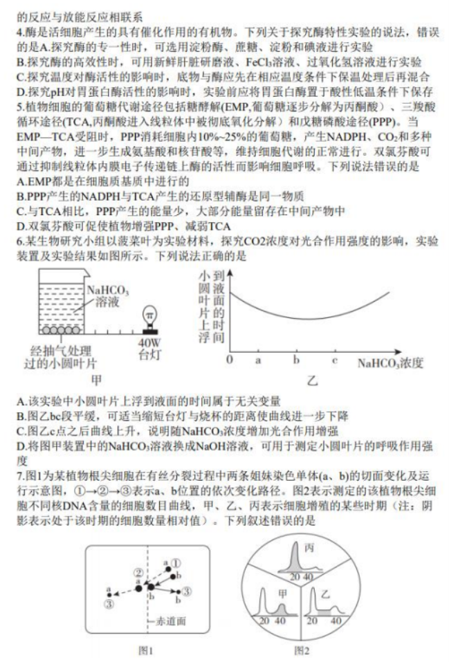 山东临沂市2024高三上学期期中考试生物试题及答案解析