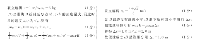 河北沧州部分高中2024高三11月期中考物理试题及答案解析