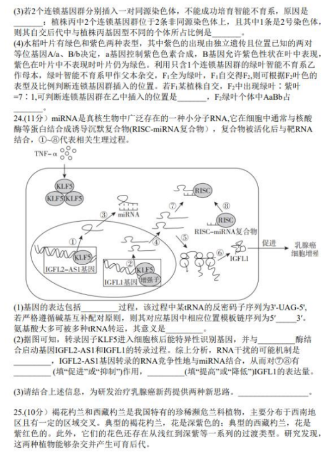 山东临沂市2024高三上学期期中考试生物试题及答案解析