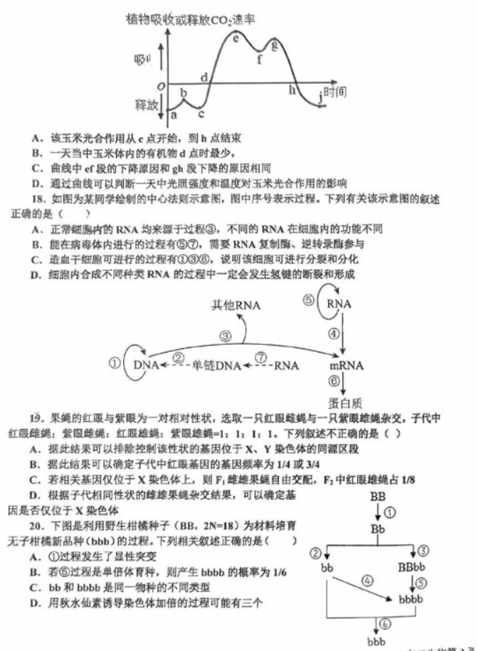 辽宁省辽南协作体2024高三期中考试生物试题及答案解析