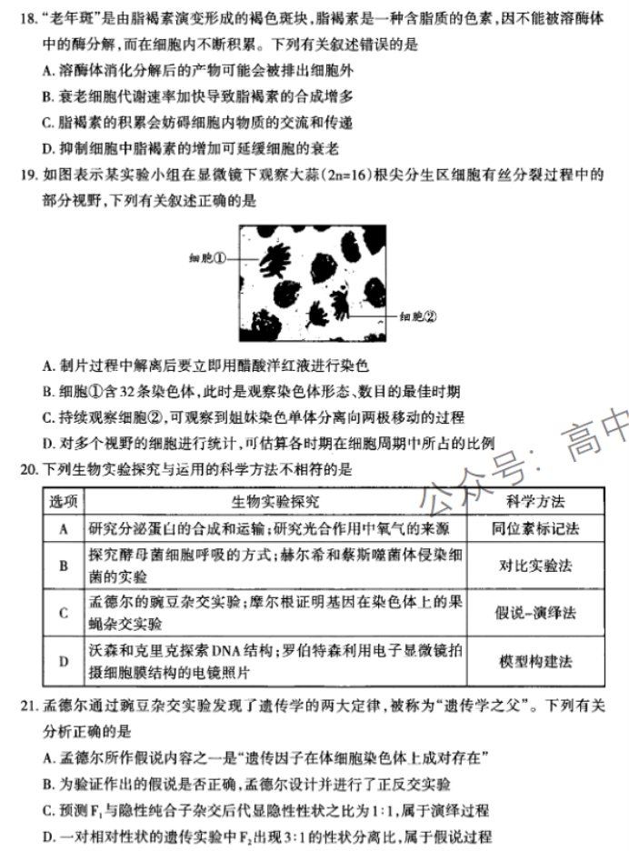 山西太原2024高三上学期期中学业诊断生物试题及答案解析