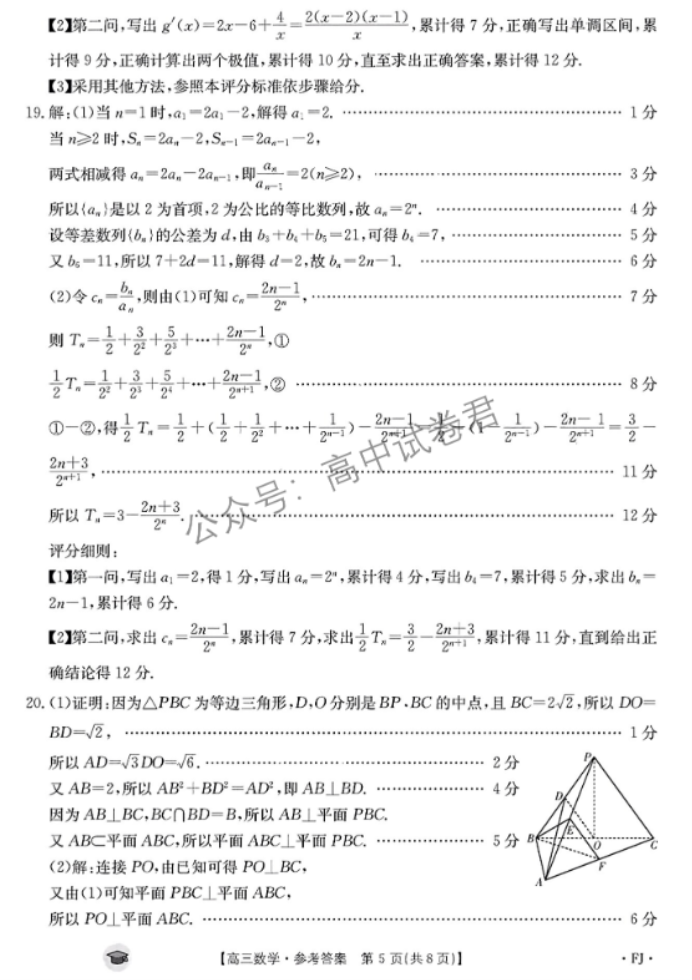 福建金太阳2024高三11月联考(120C)数学试题及答案解析