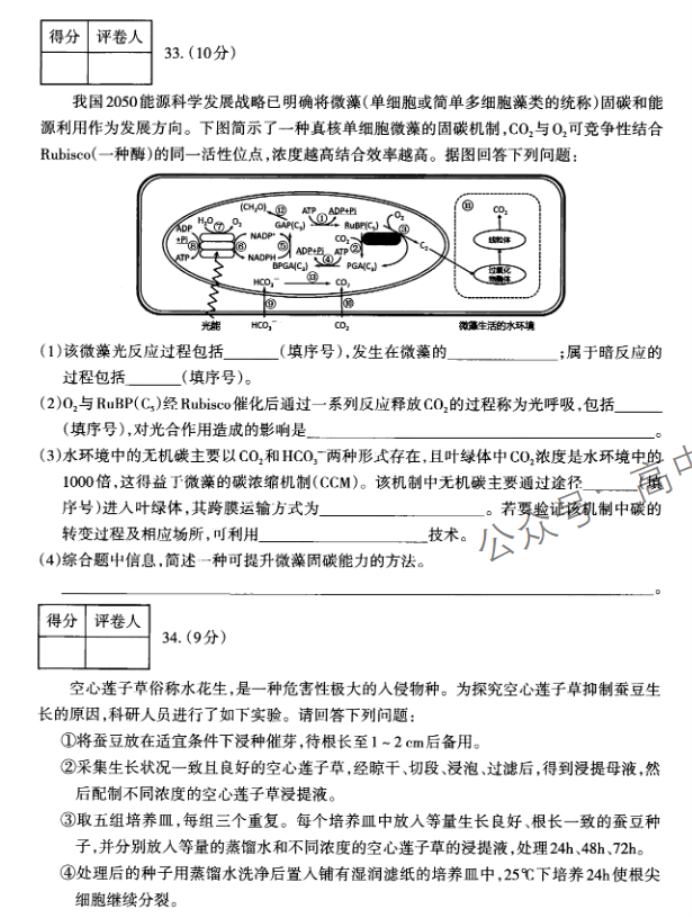 山西太原2024高三上学期期中学业诊断生物试题及答案解析