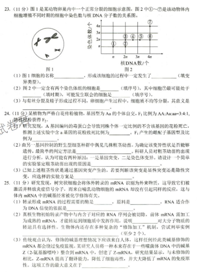 山东省菏泽市2024高三11月期中考试生物试题及答案解析