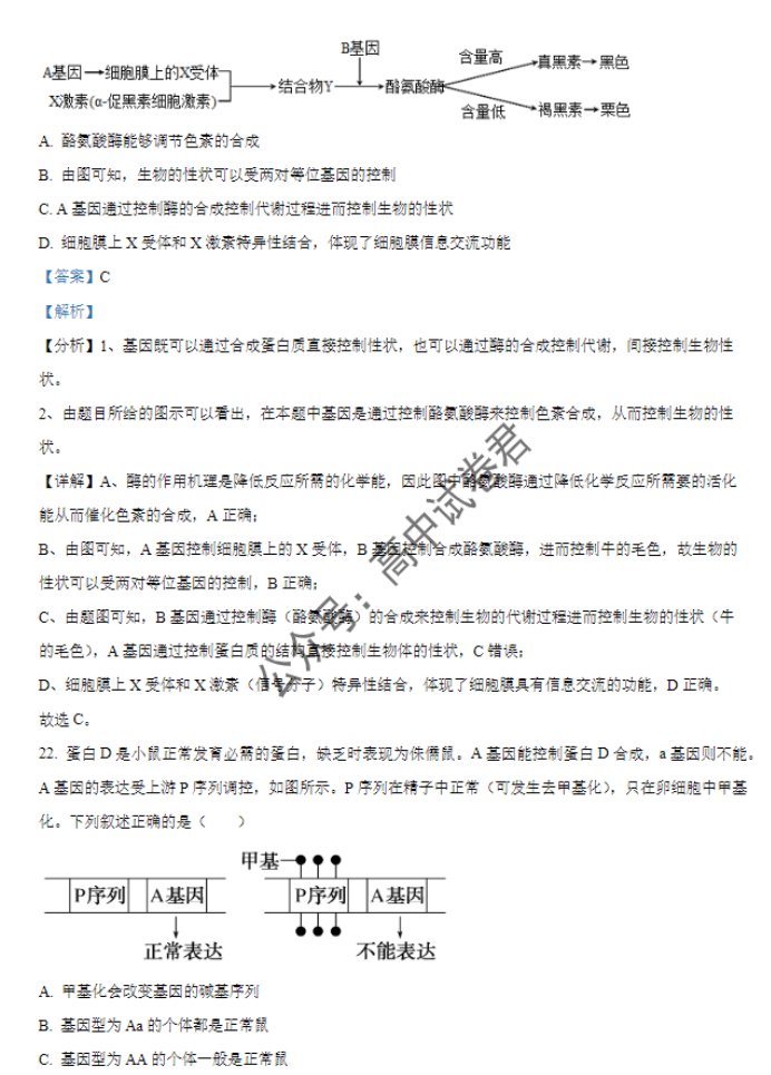 天津北辰区2024高三上学期第一次联考生物试题及答案解析