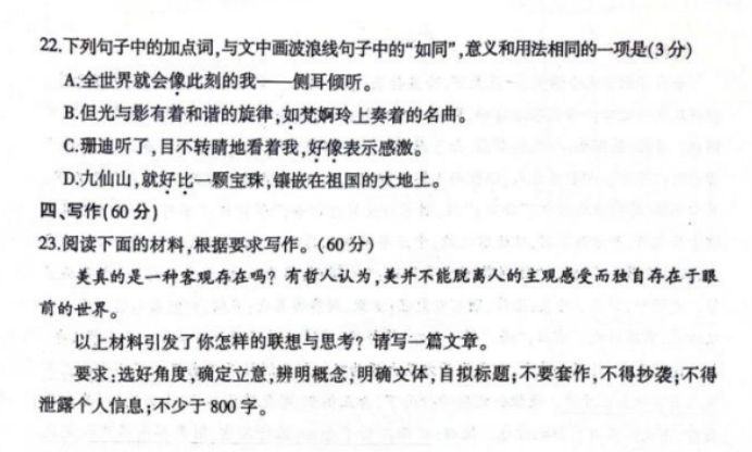 山东临沂市2024高三上学期期中考试语文试题及答案解析