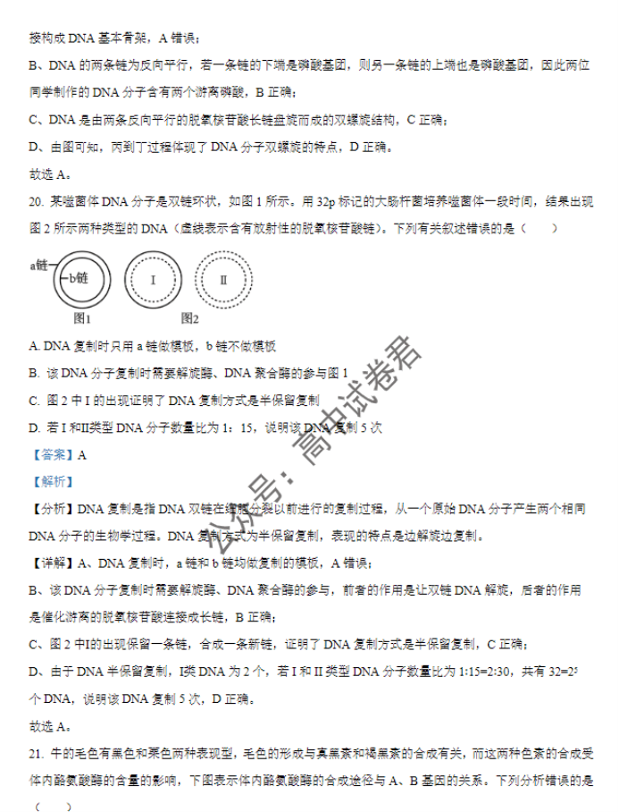 天津北辰区2024高三上学期第一次联考生物试题及答案解析