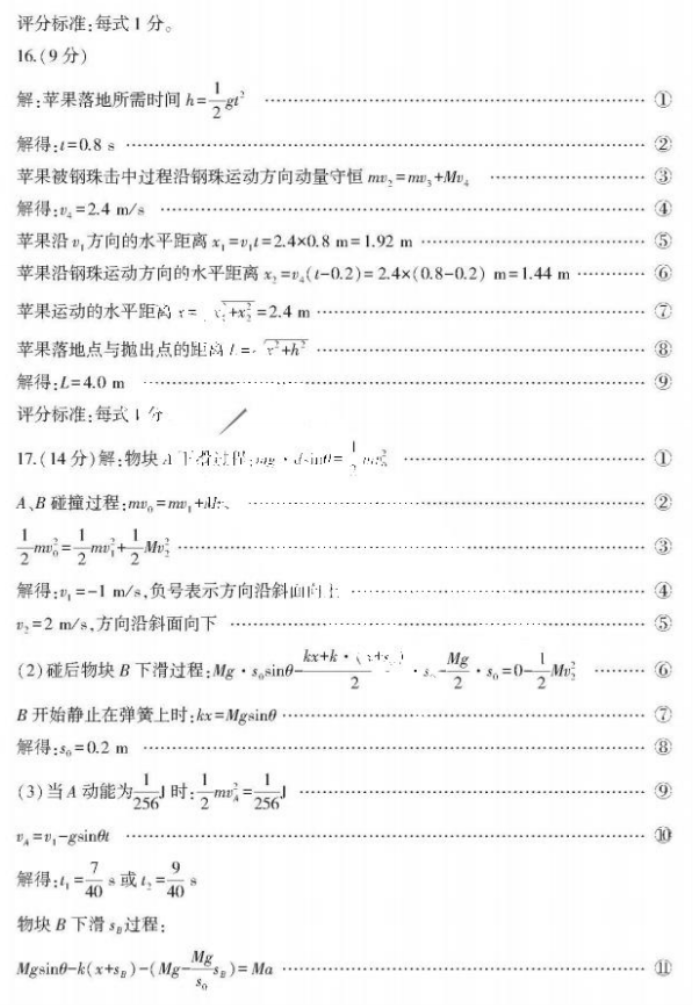 山东临沂市2024高三上学期期中考试物理试题及答案解析