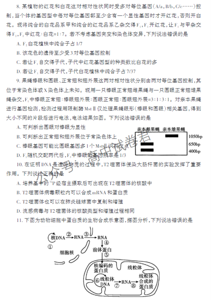 山东泰安市2024高三11月期中考试生物试题及答案解析