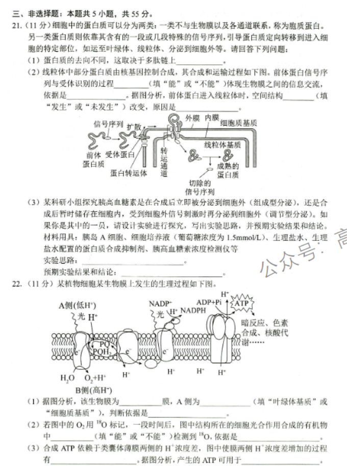 山东省菏泽市2024高三11月期中考试生物试题及答案解析