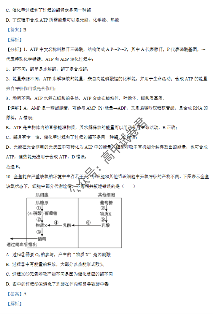 天津北辰区2024高三上学期第一次联考生物试题及答案解析