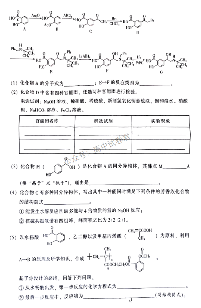 广东韶关2024高三11月一模考试化学试题及答案解析