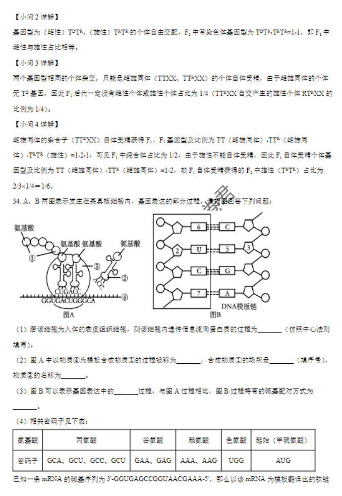 河南南阳2024高三上学期11月期中考试生物试题及答案解析