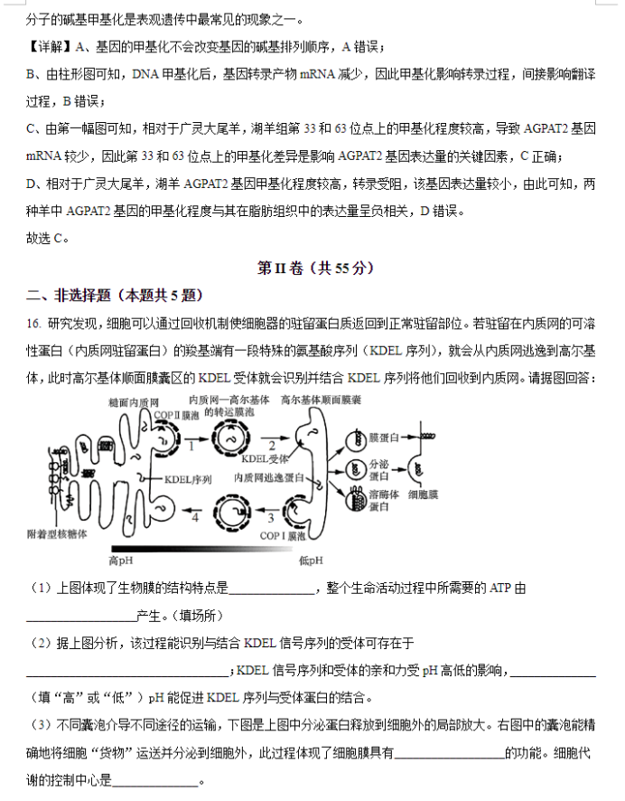 天津南开区2024高三11月阶段性检测一生物试题及答案解析