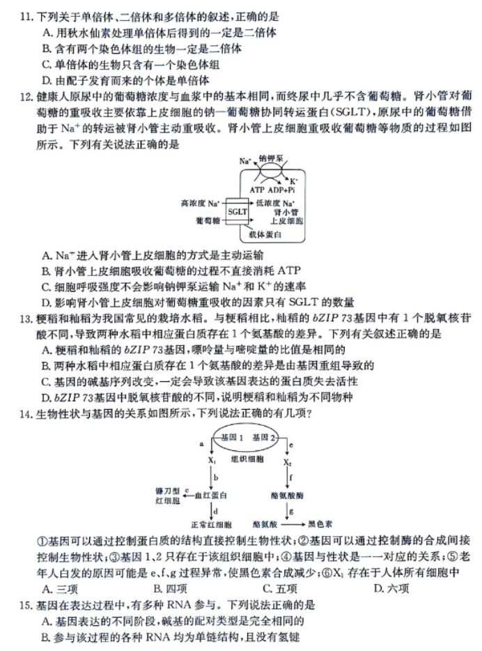 山西金太阳2024高三11月联考模拟预测生物试题及答案解析