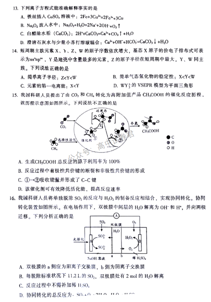 广东韶关2024高三11月一模考试化学试题及答案解析