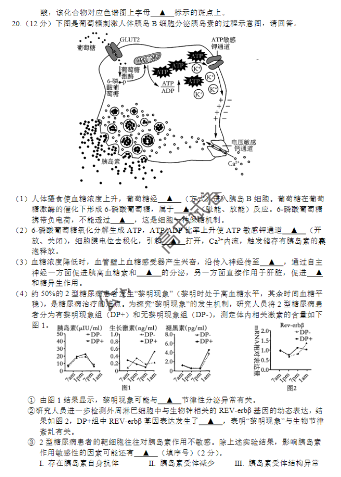 江苏淮安及南通2024高三11月期中监测生物试题及答案解析