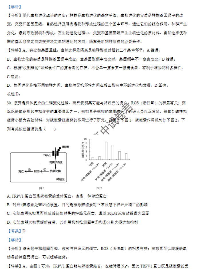 河南南阳2024高三上学期11月期中考试生物试题及答案解析