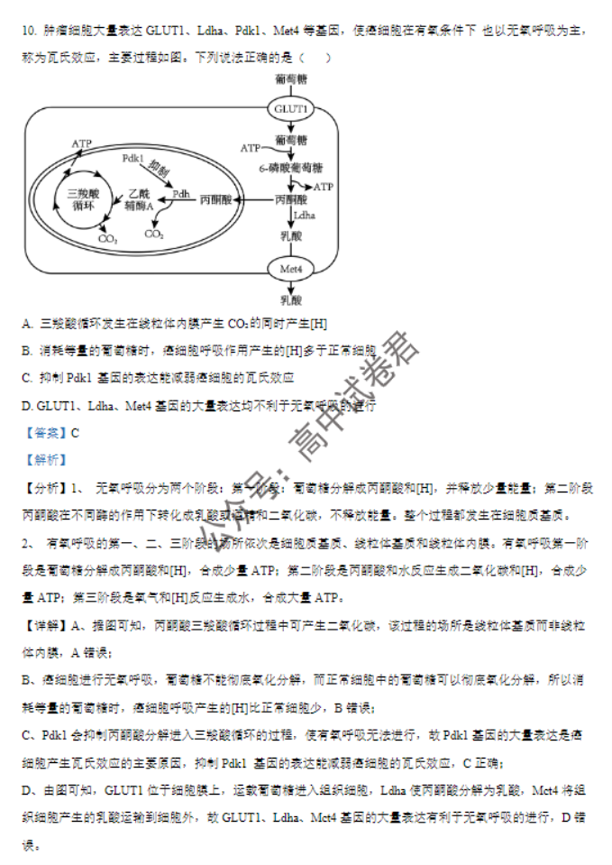 河南南阳2024高三上学期11月期中考试生物试题及答案解析