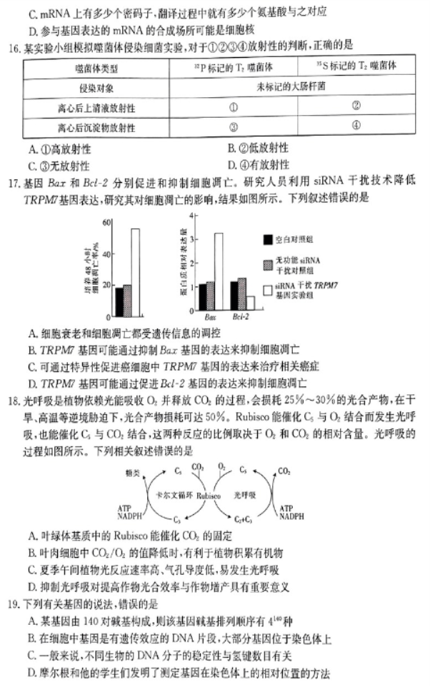 山西金太阳2024高三11月联考模拟预测生物试题及答案解析