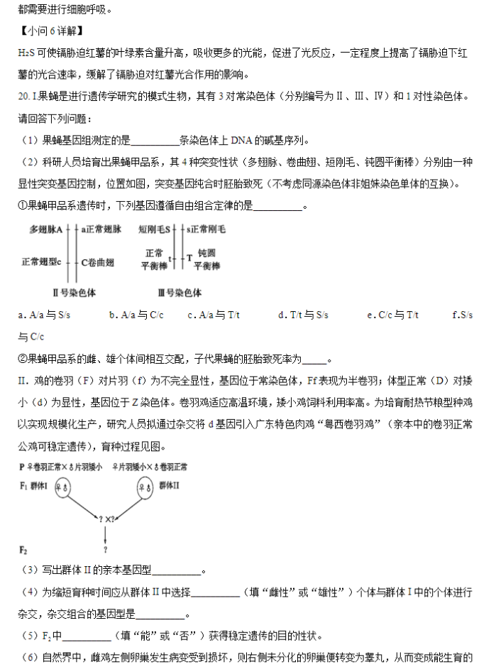 天津南开区2024高三11月阶段性检测一生物试题及答案解析