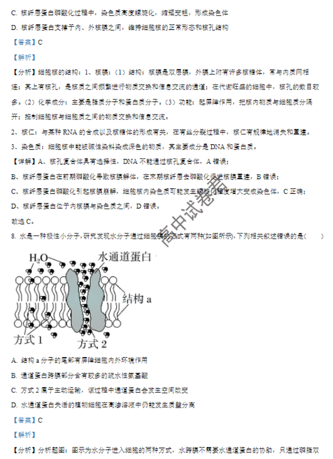 河南南阳2024高三上学期11月期中考试生物试题及答案解析