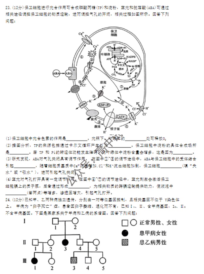 河南省金科新未来2024高三11月联考生物试题及答案解析