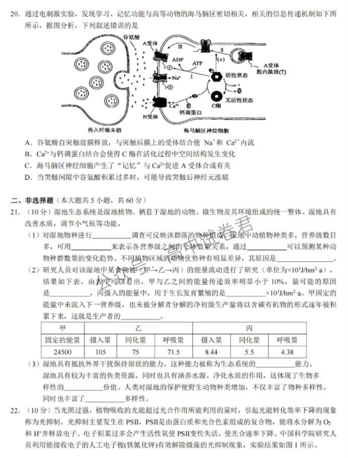 浙江省9+1高中联盟2024高三期中联考生物试题及答案解析