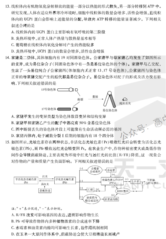 安徽卓越县中联盟2024高三11月期中考生物试题及答案解析