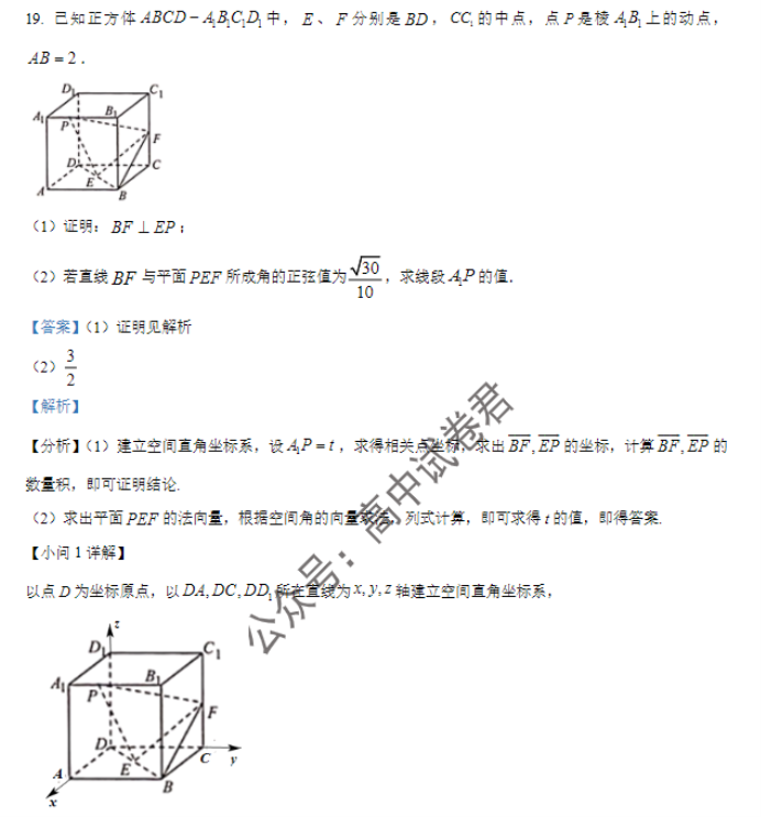 广西贵百河三市2024高三11月调研联考数学试题及答案解析