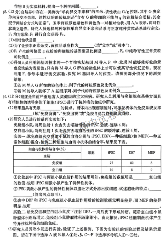 广东金太阳2024高三11月大联考(142C)生物试题及答案解析