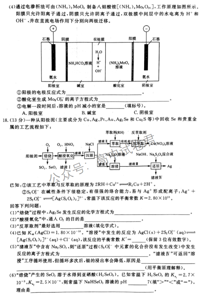 河南省金科新未来2024高三11月联考化学试题及答案解析