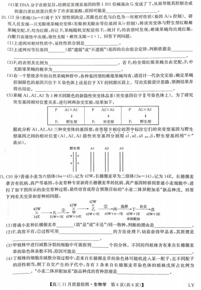 九师联盟2024高三11月质量检测(LY)生物试题及答案解析