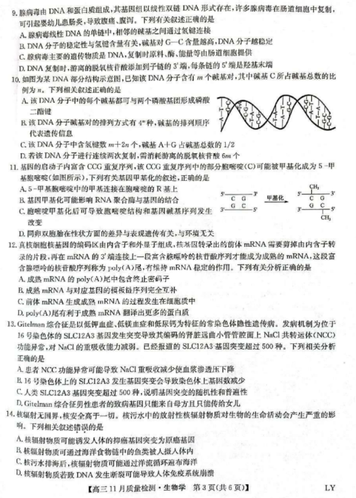 九师联盟2024高三11月质量检测(LY)生物试题及答案解析