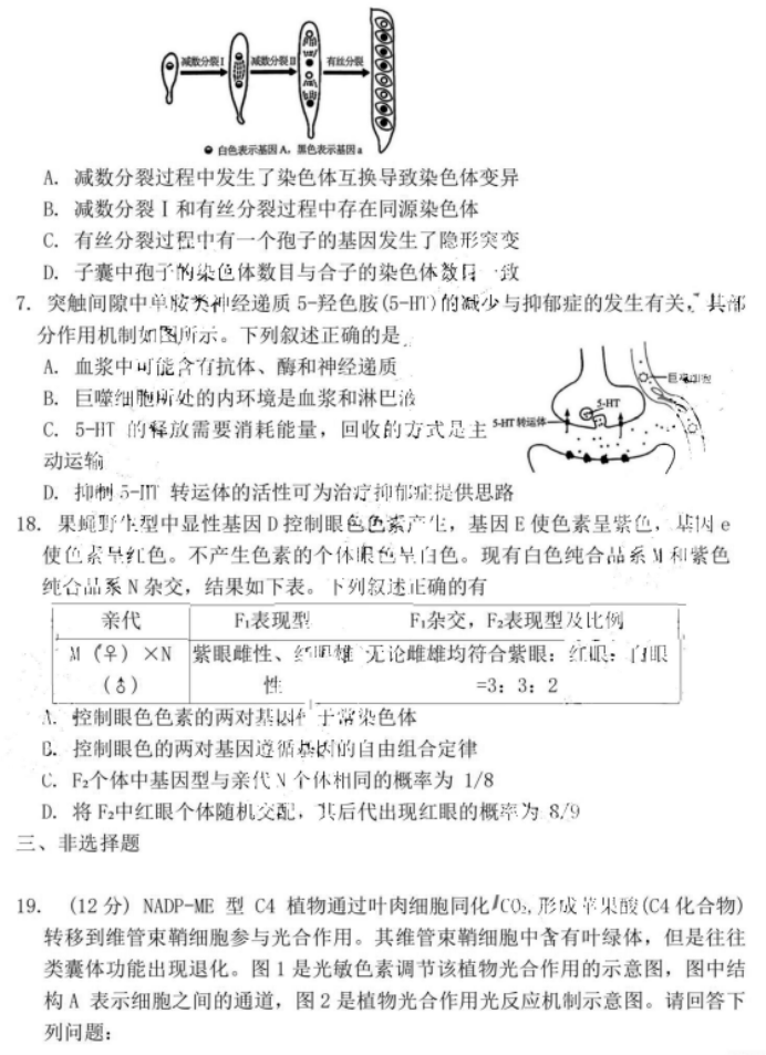 江苏省镇江市2024高三11月期中考试生物试题及答案解析