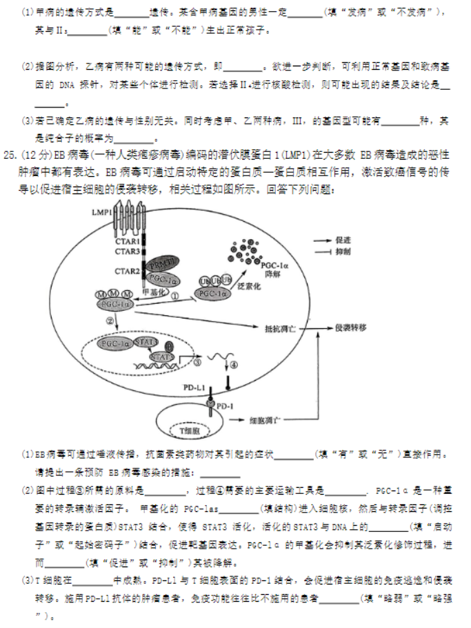 河南省金科新未来2024高三11月联考生物试题及答案解析