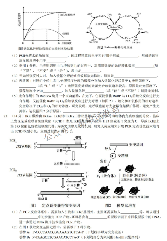 浙江省9+1高中联盟2024高三期中联考生物试题及答案解析